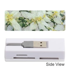 Enchanting Foliage Sharp Edged Leaves In Pale Yellow And Silver Bk Memory Card Reader (stick) by dflcprintsclothing