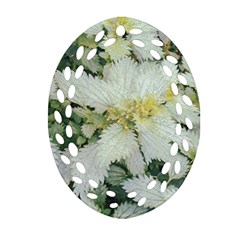 Enchanting Foliage Sharp Edged Leaves In Pale Yellow And Silver Bk Ornament (oval Filigree) by dflcprintsclothing