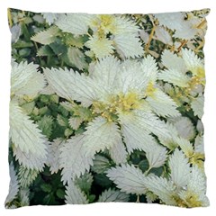 Enchanting Foliage Sharp Edged Leaves In Pale Yellow And Silver Bk Large Premium Plush Fleece Cushion Case (one Side) by dflcprintsclothing