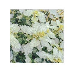 Enchanting Foliage Sharp Edged Leaves In Pale Yellow And Silver Bk Square Satin Scarf (30  X 30 ) by dflcprintsclothing