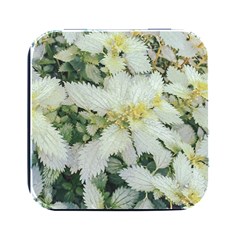 Enchanting Foliage Sharp Edged Leaves In Pale Yellow And Silver Bk Square Metal Box (black)