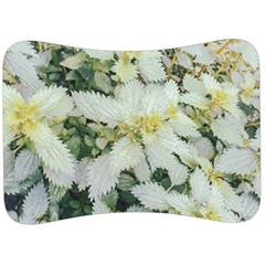 Enchanting Foliage Sharp Edged Leaves In Pale Yellow And Silver Bk Velour Seat Head Rest Cushion by dflcprintsclothing