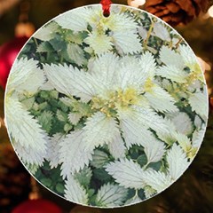 Enchanting Foliage Sharp Edged Leaves In Pale Yellow And Silver Bk Uv Print Acrylic Ornament Round by dflcprintsclothing