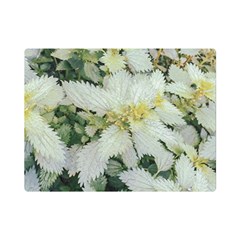 Enchanting Foliage Sharp Edged Leaves In Pale Yellow And Silver Bk Premium Plush Fleece Blanket (mini) by dflcprintsclothing