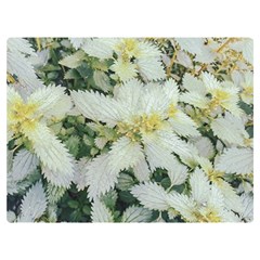 Enchanting Foliage Sharp Edged Leaves In Pale Yellow And Silver Bk Two Sides Premium Plush Fleece Blanket (baby Size) by dflcprintsclothing