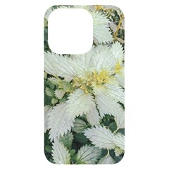 Enchanting Foliage Sharp Edged Leaves In Pale Yellow And Silver Bk Iphone 14 Pro Black Uv Print Case by dflcprintsclothing