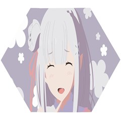 Emilia Rezero Wooden Puzzle Hexagon