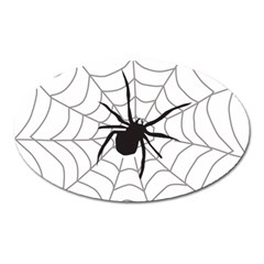 Spider Web Oval Magnet