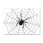 Spider Web Sticker A4 (100 pack) Front