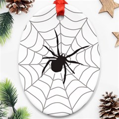 Spider Web Oval Ornament (two Sides)