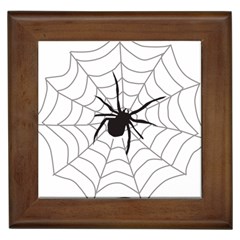 Spider Web Framed Tile