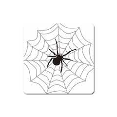 Spider Web Square Magnet