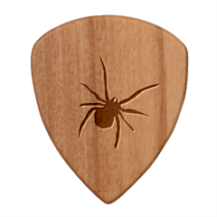 Spider Web Wood Guitar Pick (set Of 10)