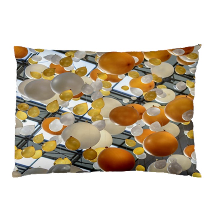 Ballon Classroom Pillow Case (Two Sides)