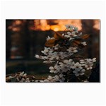 White Flower Postcards 5  x 7  (Pkg of 10) Front