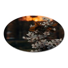 White Flower Oval Magnet