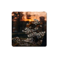 White Flower Square Magnet