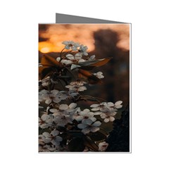 White Flower Mini Greeting Cards (pkg Of 8) by Azkajaya