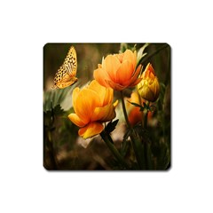 Yellow Butterfly Flower Square Magnet by Azkajaya