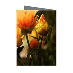 Yellow Butterfly Flower Mini Greeting Cards (pkg Of 8) by Azkajaya