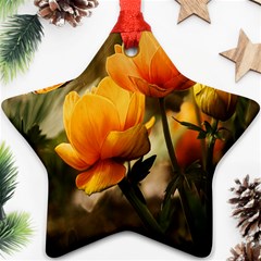 Yellow Butterfly Flower Star Ornament (two Sides) by Azkajaya