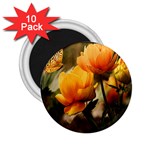 Yellow Butterfly Flower 2.25  Magnets (10 pack)  Front