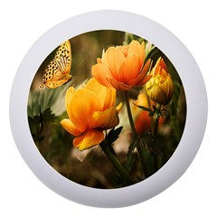 Yellow Butterfly Flower Dento Box With Mirror