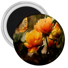 Yellow Butterfly Flower 3  Magnets by Azkajaya