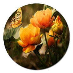 Yellow Butterfly Flower Magnet 5  (round) by Azkajaya