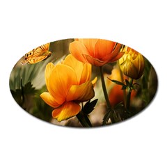 Yellow Butterfly Flower Oval Magnet by Azkajaya