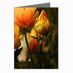 Yellow Butterfly Flower Greeting Cards (pkg Of 8) by Azkajaya