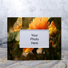 Yellow Butterfly Flower White Tabletop Photo Frame 4 x6  by Azkajaya