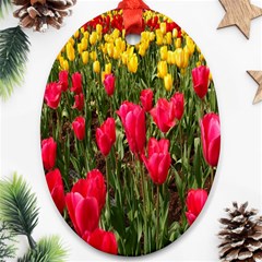 Yellow Pink Red Flowers Oval Ornament (two Sides) by Azkajaya