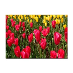 Yellow Pink Red Flowers Sticker A4 (10 Pack)