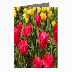 Yellow Pink Red Flowers Greeting Cards (pkg Of 8) by Azkajaya