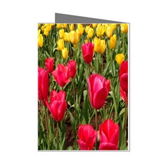 Yellow Pink Red Flowers Mini Greeting Cards (pkg Of 8) by Azkajaya