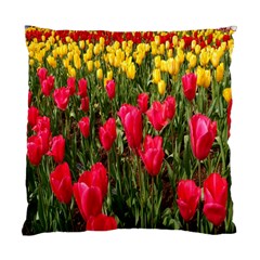 Yellow Pink Red Flowers Standard Cushion Case (two Sides) by Azkajaya