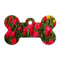 Yellow Pink Red Flowers Dog Tag Bone (one Side) by Azkajaya