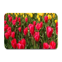 Yellow Pink Red Flowers Plate Mats by Azkajaya