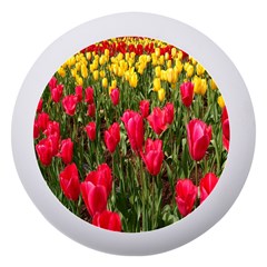 Yellow Pink Red Flowers Dento Box With Mirror