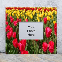 Yellow Pink Red Flowers White Wall Photo Frame 5  X 7  by Azkajaya