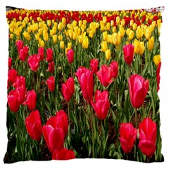 Yellow Pink Red Flowers 16  Baby Flannel Cushion Case (two Sides)