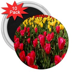 Yellow Pink Red Flowers 3  Magnets (10 Pack)  by Azkajaya