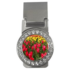 Yellow Pink Red Flowers Money Clips (cz)  by Azkajaya