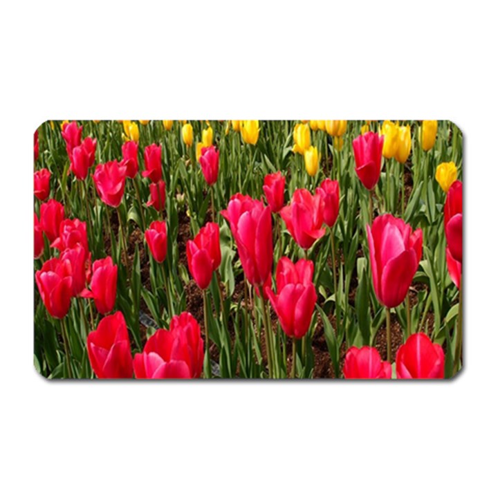 Yellow Pink Red Flowers Magnet (Rectangular)