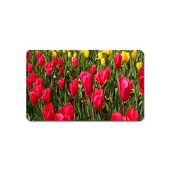 Yellow Pink Red Flowers Magnet (name Card) by Azkajaya