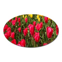 Yellow Pink Red Flowers Oval Magnet by Azkajaya