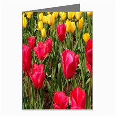 Yellow Pink Red Flowers Greeting Card by Azkajaya