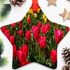 Yellow Pink Red Flowers Star Ornament (two Sides)