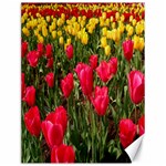 Yellow Pink Red Flowers Canvas 12  x 16  11.86 x15.41  Canvas - 1